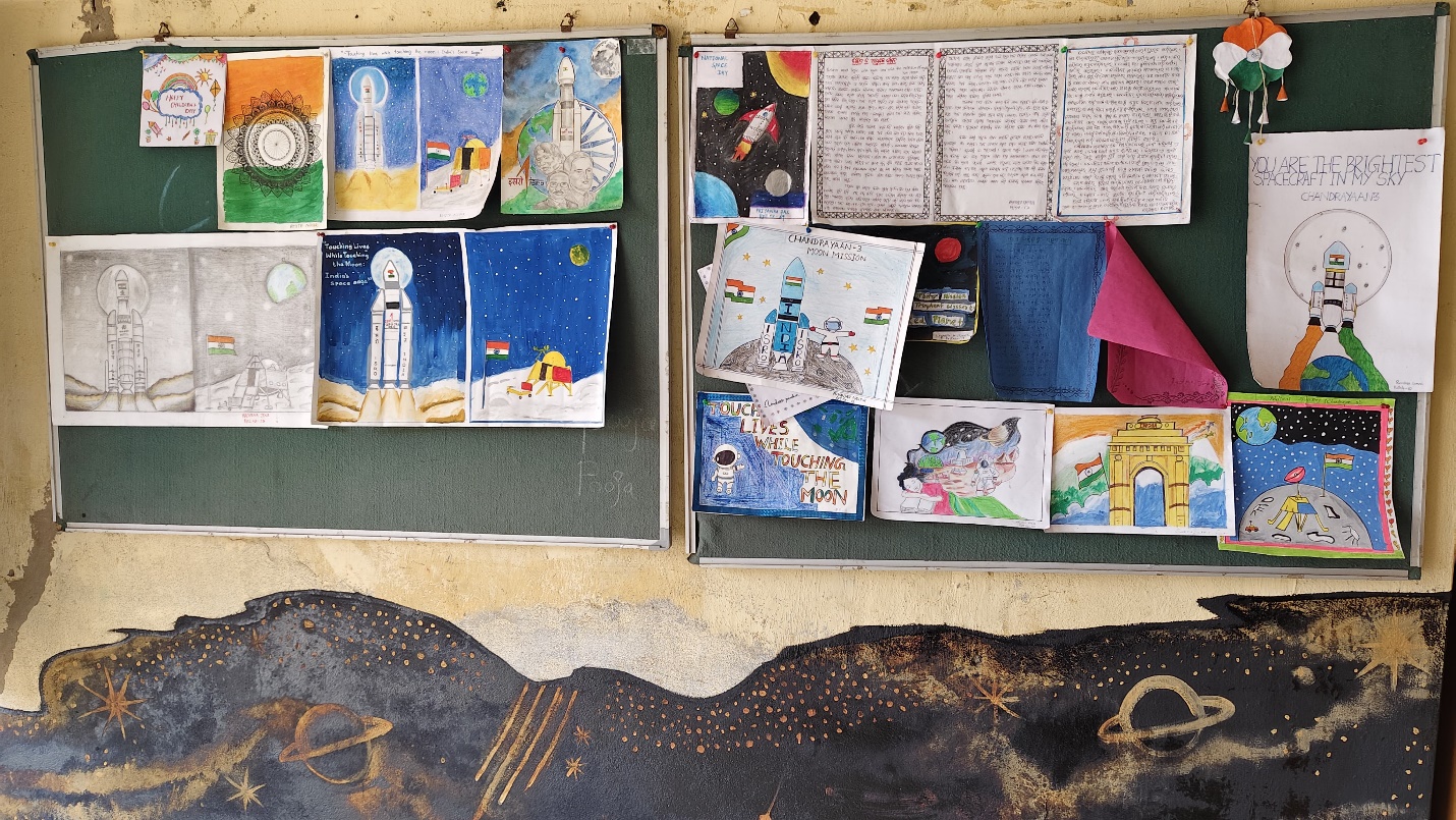 TLM Display